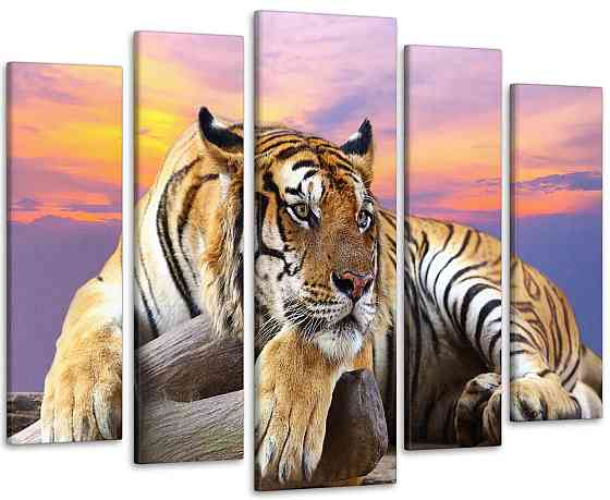 Модульная картина Природа Тигр Art-196_5 105x150 см Киев
