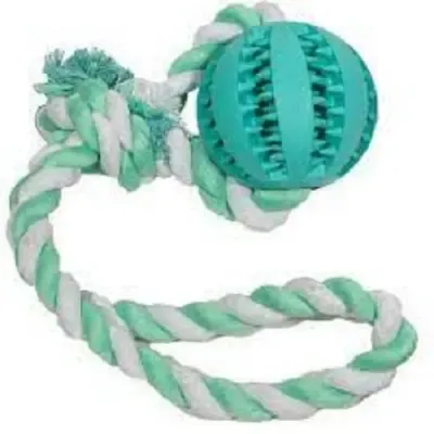 Мяч на веревке с ручкой Denta Fun (24 см) Коломыя