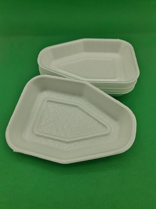 Супер Лоток під тушку курки ТR-119 (300 шт) Харків - фото 1