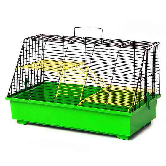 Клетка Щурик для декоративных грызунов средних размеров (57.5 х 30 х 31.5 см), Лори Киев