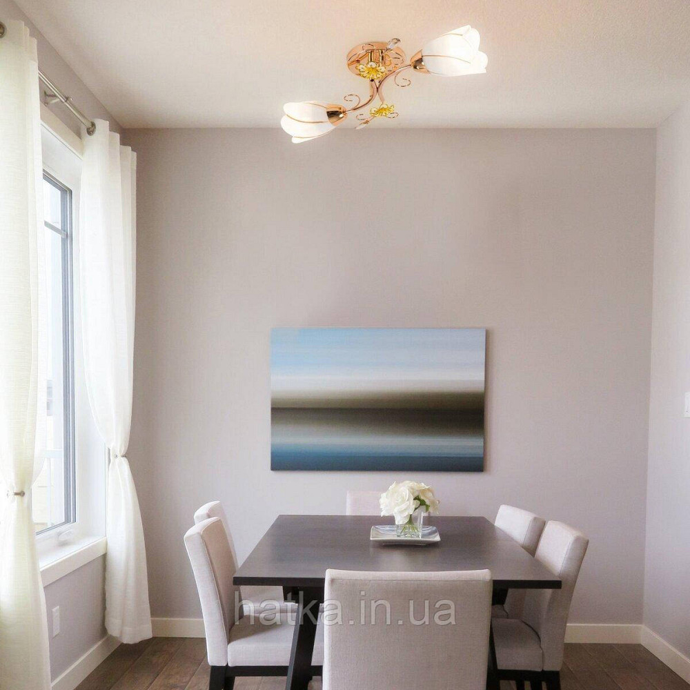 Люстра Sirius B N0282/2 (на 2 плафони) Київ - фото 3