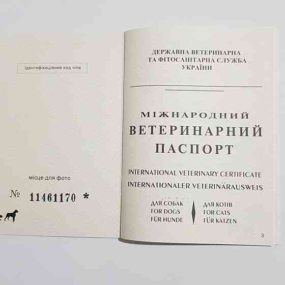 Міжнародний ветеринарний паспорт для собак і кішок Вінниця