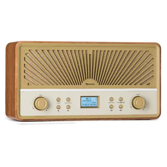 Радіо приймач Auna Glastonbury Go ST DAB+/FM/BT Radio із вбудованим акумулятором Німеччина Дніпро