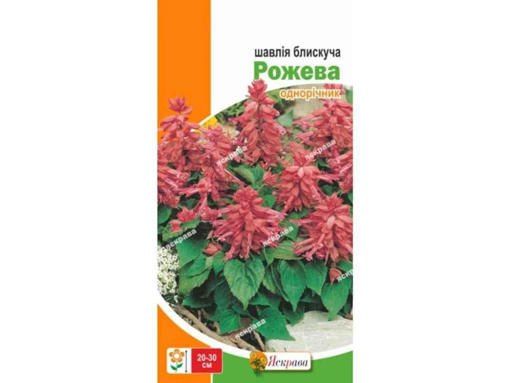 Шалфей низкий блестящий Красный (20 пачек) 0.1г ТМ ЯСКРУВА Киев - изображение 1