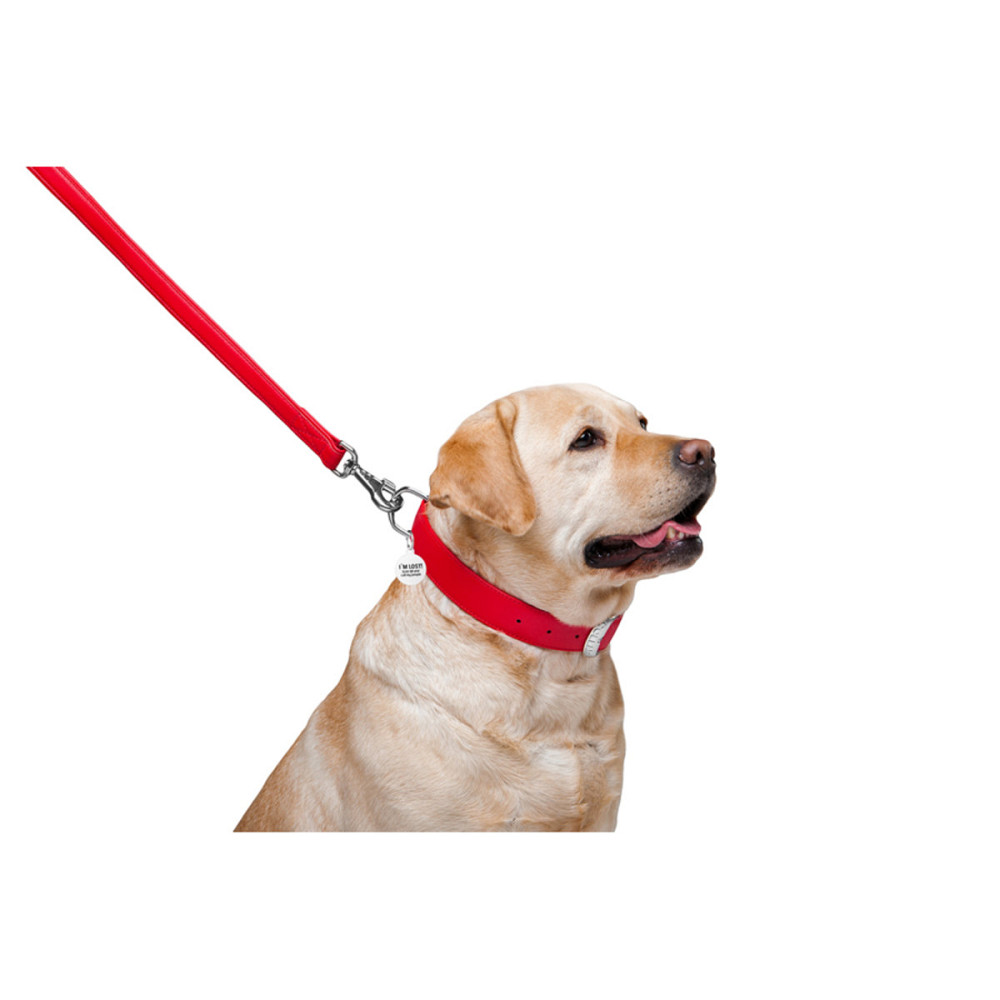 Повідець для собак шкіряний WAUDOG Glamour, Ш 25 мм, Дов 122 см червоний Київ - фото 4