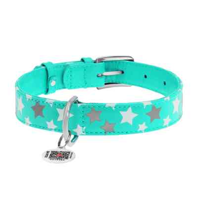 Ошейник для животных WAUDOG Glamour с QR паспортом "Звездочка" M Ш 25 мм Д 38-49 см ментоловый (358713) Винница