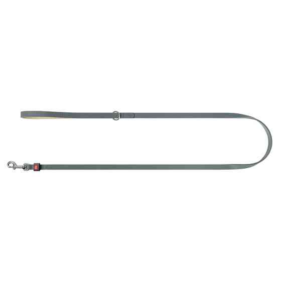 Повідець для котів та дрібних собак шкіряний WAUDOG Classic, XXS-XS, Ш 12 мм, Дов 122 см сірий Коломия