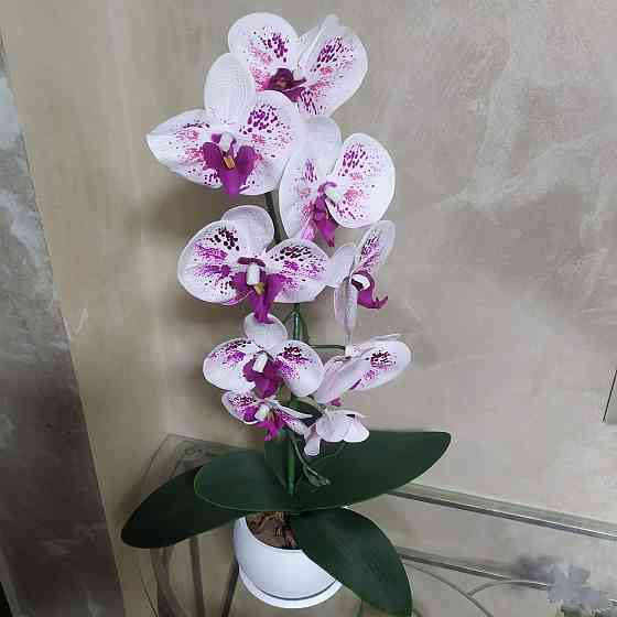 Штучна латексна орхідея VIP у білому керамічному кашпо на одну гілку біло-бузкова Дніпро