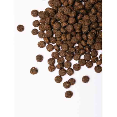 Корм сухий Savory Medium Breed rich in Fresh Turkey and Lamb для дорослих собак середніх порід від 10 до 25 кг зі свіжим ягн Київ