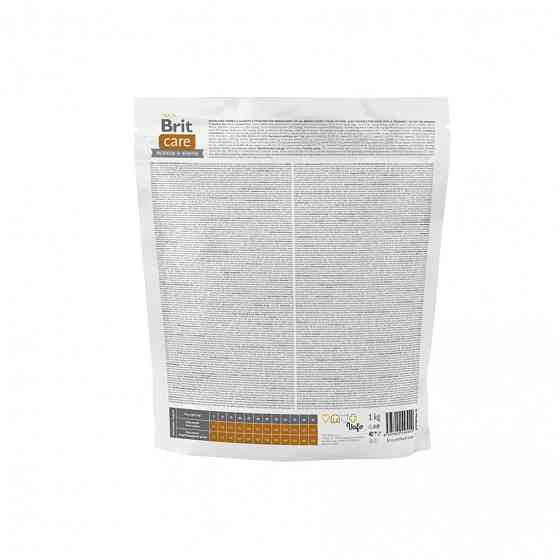 Сухой корм Brit Care Dog Grain-free Senior & Light для стареющих собак, беззерновой с лососем, 1 кг Винница