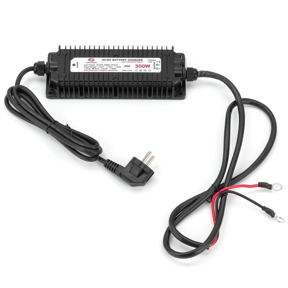 Зарядка вологозахищена, без вентилятора, на радіаторі, з 265 В на DC29.2 В 10 A літій-ферум WENGAO Київ - фото 2