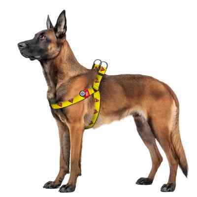 Шлей для собак WAUDOG Nylon с QR паспортом "Супермен 2" пластиковый фастекс XL (324-2014) Винница