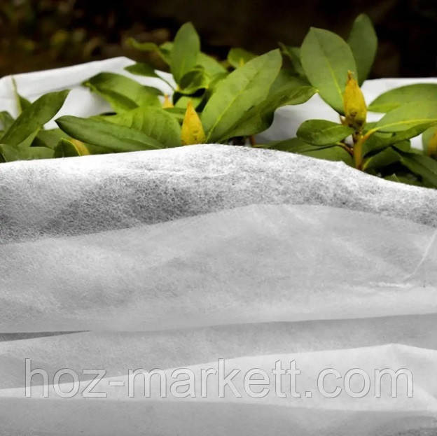 Агроволокно біле 50 г/м2 3.2 м х 100 м Харків - фото 3