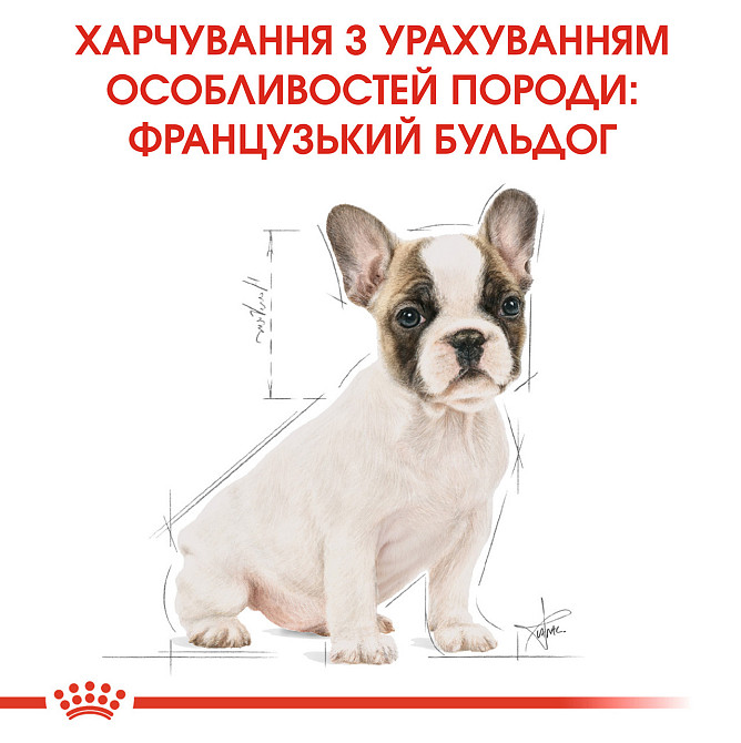 Корм для щенков породы Французский бульдог ROYAL CANIN FRENCH BULLDOG PUPPY 1.0 кг Киев - изображение 6