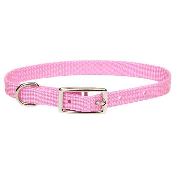 Coastal Nylon Web КОСТАЛ НАЙЛОН ВЕБ ошейник для собак,1х30см Киев
