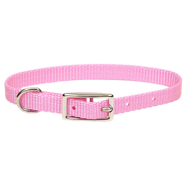 Coastal Nylon Web КОСТАЛ НАЙЛОН ВЕБ ошейник для собак,1х30см Киев - изображение 1