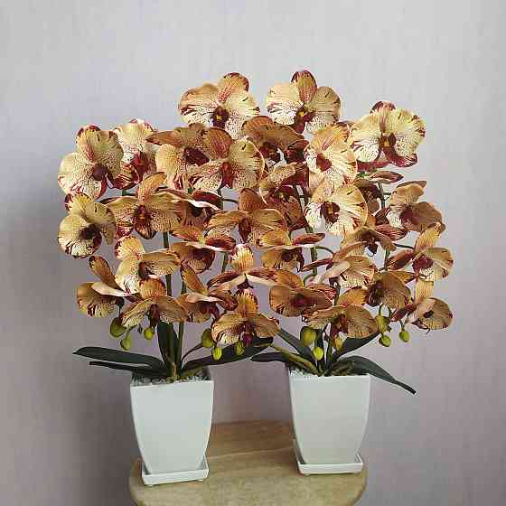 Штучна латексна орхідея VIP у білому керамічному кашпо на дві гілки кремово-бордова. Дніпро