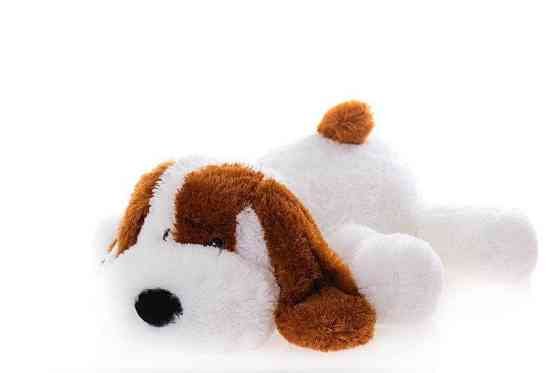 Собачка Алина Шарик 75 см белый Киев