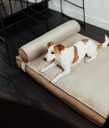 Лежак для собак і котів Happy Peppy (Хеппі Пеппі) Relax Memory 80 х 120 см, Бежевий Запоріжжя - фото 3