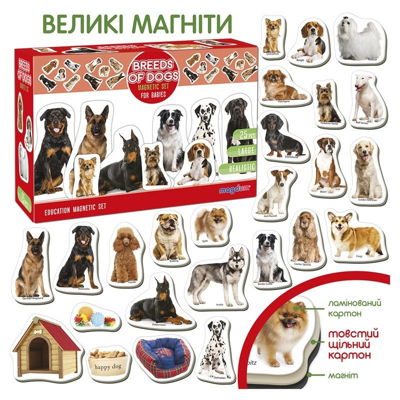 Дитячий розвиваючий набір магнітів "Породи собак" ML4031-20EN 24 фотомагніти Вінниця - фото 5