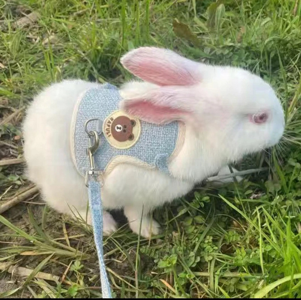 Шлея для собачек и кошек с поводком тканевая S голубой Киев - изображение 9