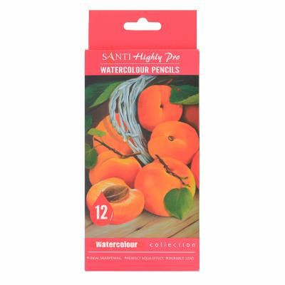 Олівці кольорові Santi Highly Pro 12 шт акварельні (742383) Вінниця - фото 1
