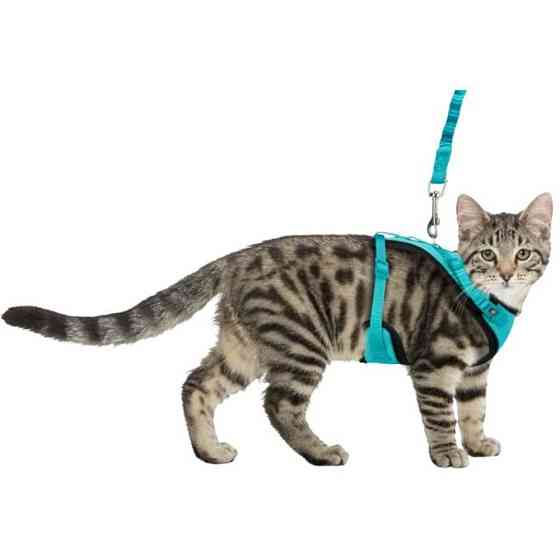 Шлея Trixie для котів Y-Harness бірюзовий, розмір 39-60 см/10мм, 1 м Київ