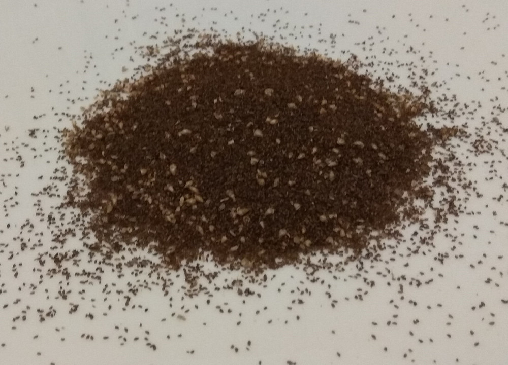 Подорожник  (семена), 100г. MasterSEM Киев - изображение 1