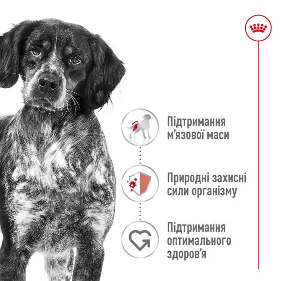 Royal Canin Medium Adult (Роял Канин Медиум Эдалт) сухой корм для взрослых средних собак 11-25 кг от 12 мес 15 кг. Запорожье