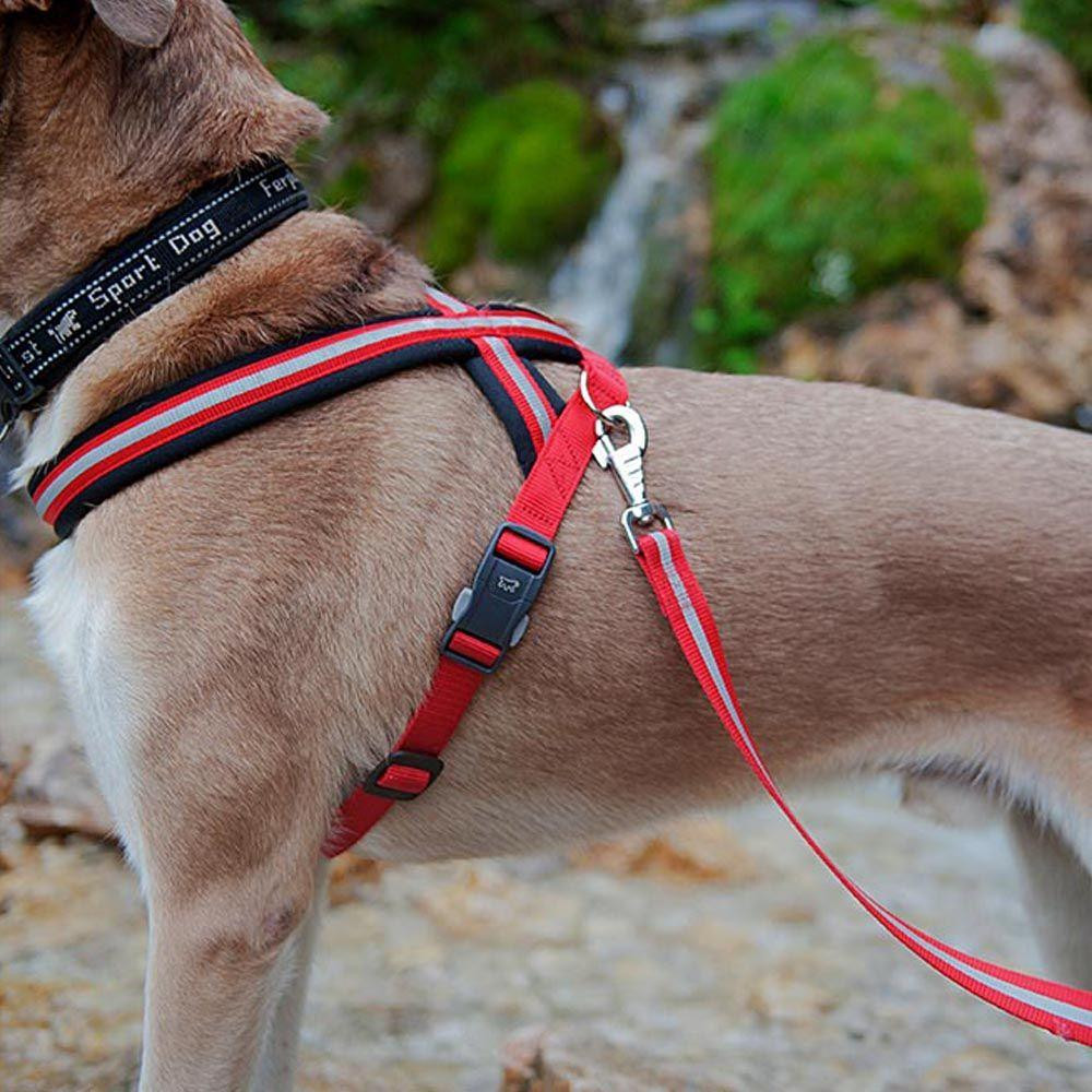 Світлий шлейк для собак з магнітною застібкою Ferplast Daytona R Cros (Ферпласт Дайтона П Кросс) L - B: 70 ae 96 см 25 мм, Синій Запоріжжя - фото 7
