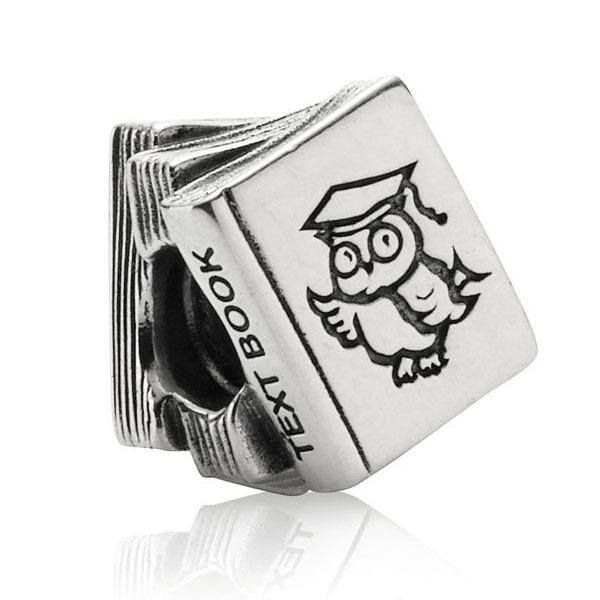 Серебряный шарм Пандора  