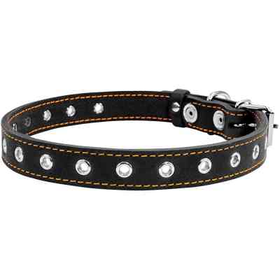 Нашийник для тварин Collar безрозмірний 20 мм 50 см (чорний) (01511) Вінниця