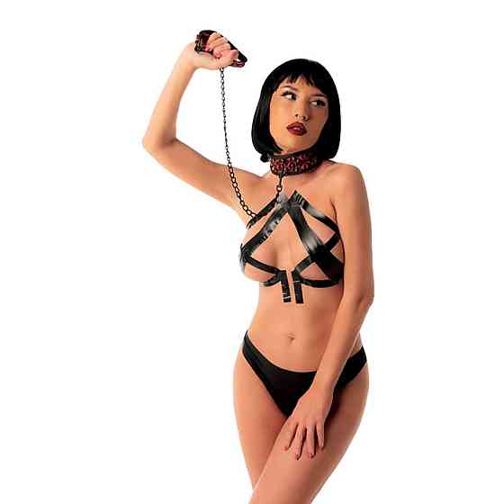 Нашийник Fantasy зі повідцем Collar with detachable leash Sex Aura Київ