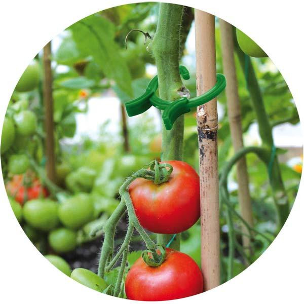 Затискачі для кріплення рослин, 3 розміри 45шт. Bradas, Польща Київ - фото 2