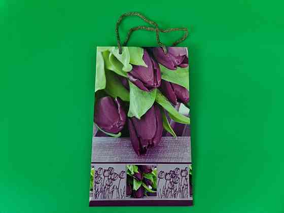 Бумажный пакет подарочный Средний 17/26/8 (артSV-124) (12 шт) Харьков