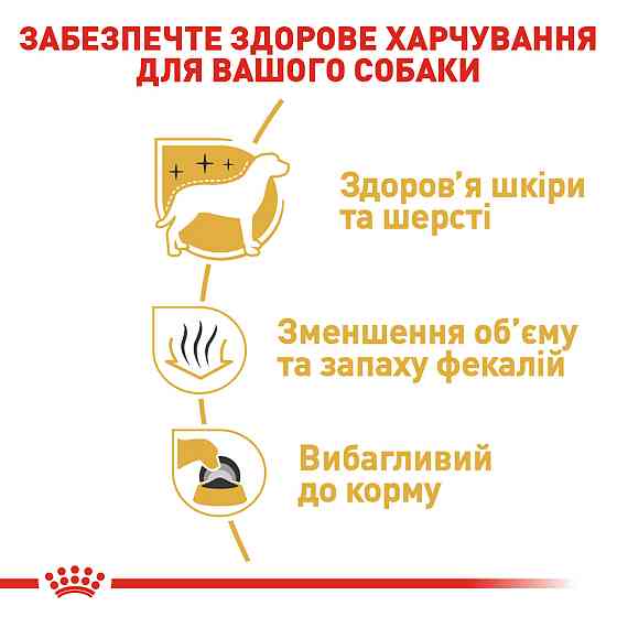 Корм для дорослих собак породи Мальтійська болонка ROYAL CANIN MALTESE ADULT 0.5 кг Київ