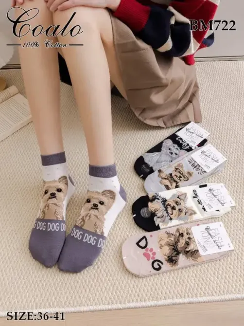 Шкарпетки жіночі із собачками. У наборі з 5 шт. Яскраві жіночі шкарпетки з приколами. Coalo socks. Розмір 36-41 Київ - фото 1