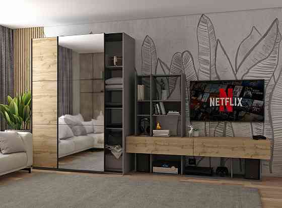 Шкаф-купе двухдверный Doros G-Caiser 160х60х240 см Графит/Дуб евок/1 Зеркало (DRS-011038) Львов