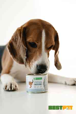 Nature's Protection Puppy Starter Mousse Chicken Мус-стартер для цуценят з курки, 200 г Киев
