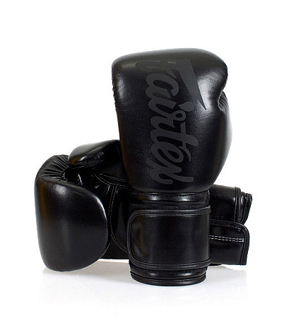 Боксерські рукавиці Fairtex BGV14SB Black 16 унцій (бинти в комплекті) Каменское - изображение 2