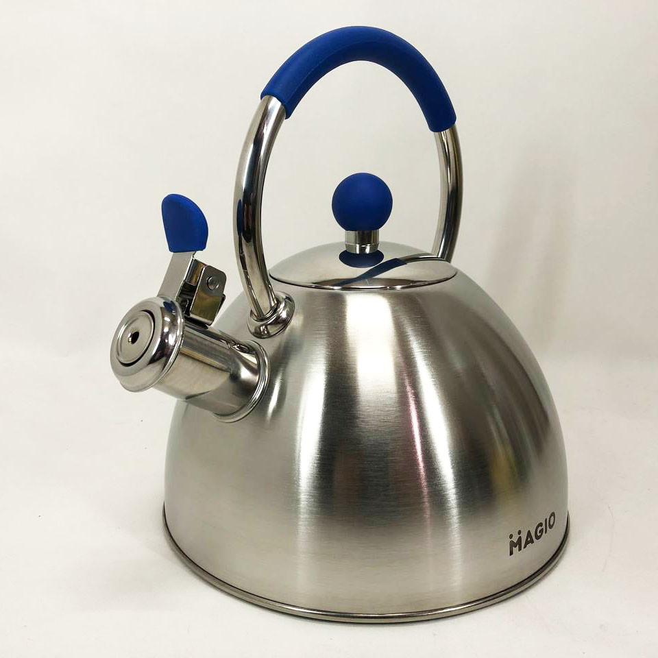 Функціональний чайник зі сталі зі свистком, Чайник газовий нержавіюча сталь Гарний для плит LP-97 Львів - фото 1