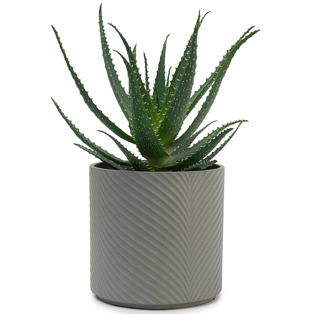 elemi Набір кашпо для квітів керамічні elemi "Листок" (13"; 16"; 19") (1,3 л; 2,3 л; 4,5 л) тем Коломия - фото 10