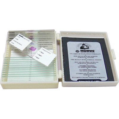 Набор микропрепаратов Konus Здорові тканини людського тіла, частина I 10 шт (4910) Винница - изображение 1