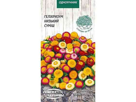Геліхрізум низький (суміш) ОД (10 пачок) 0,2г ТМ НАСІННЯ УКРАЇНИ Київ