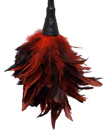 Тіклер FFS Frisky Feather Duster Sex Aura Київ