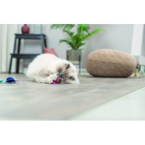 Іграшка Trixie для котів Морські звірі плюш з котячою м ятою 5–8 см Київ - фото 7