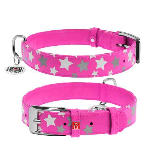 Нашийник для собак шкіряний WAUDOG Glamour з QR паспортом, візерунок "Зірочка", світлонакопичув Коломыя