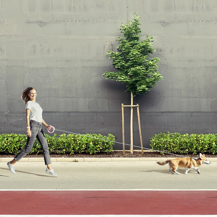 Повідець-рулетка для собак WAUDOG R-leash, кругла, XS-M, до 40 кг, 2,9 м, світловідбиваюча стрічка рожевий Київ - фото 8