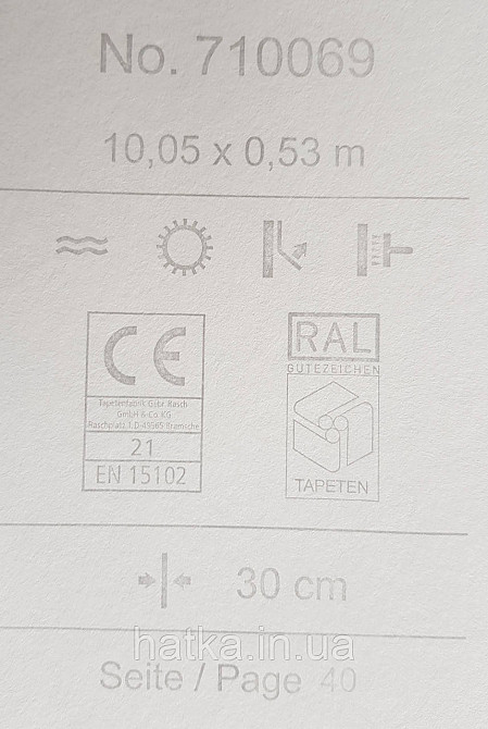 Шпалери флізелінові еко Rasch Sophia 0.53х10 рослинний принт квіти листя маленькі польові білі на сірому Київ - фото 5