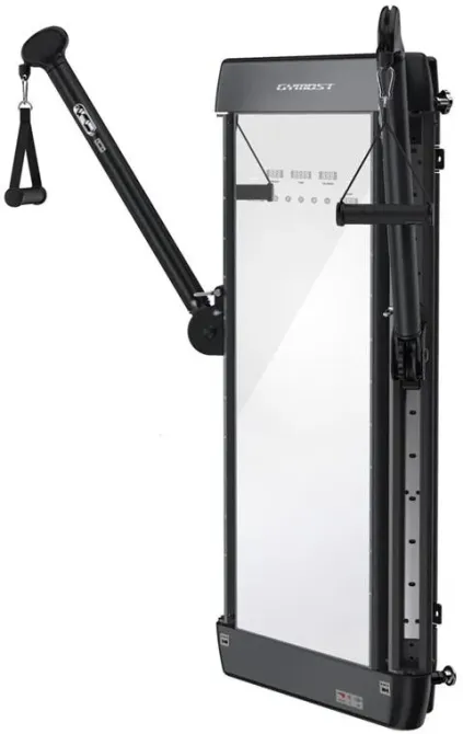 Тренажер Brama z podwójnym wyciagiem Gymost L802 + stojak L803 Киев - изображение 1